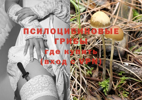 бошки Верея