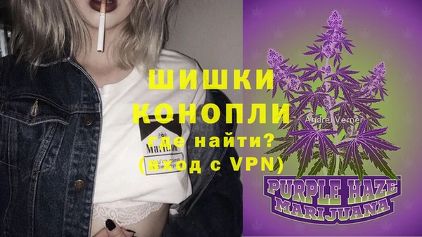 бошки Верея