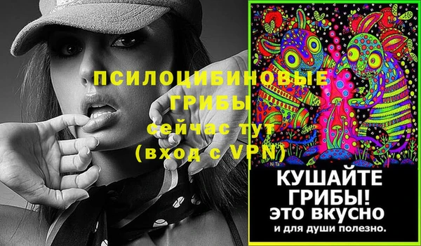 дурь Верхний Тагил