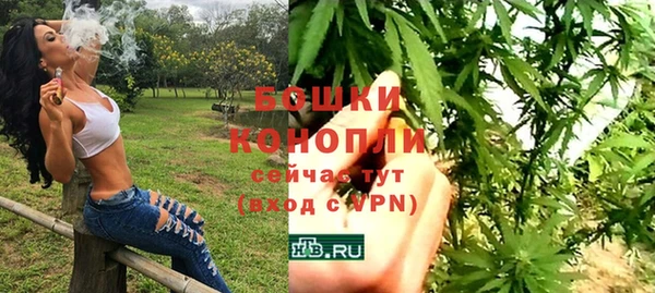 дурь Верхний Тагил