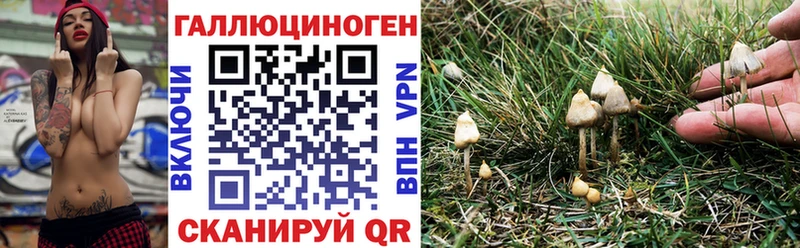 shop какой сайт Чишмы Галлюциногенные грибы мухоморы